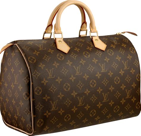 louis vuitton shopping bag png